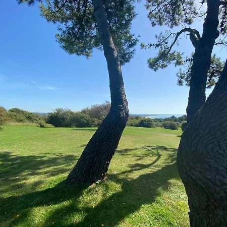 In The Dunes Of Barneville-Carteret